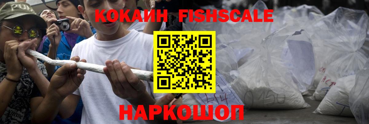Димитровград  Кокаин VHQ  COCAIN FishScale  Вход с VPN 