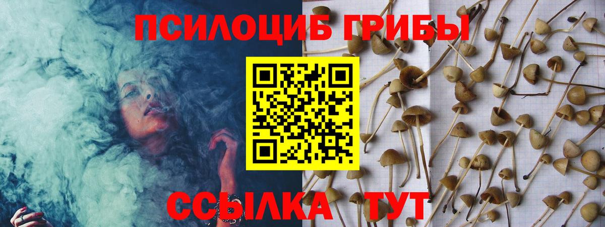 Псилоцибиновые грибы MAGIC MUSHROOMS Димитровград
