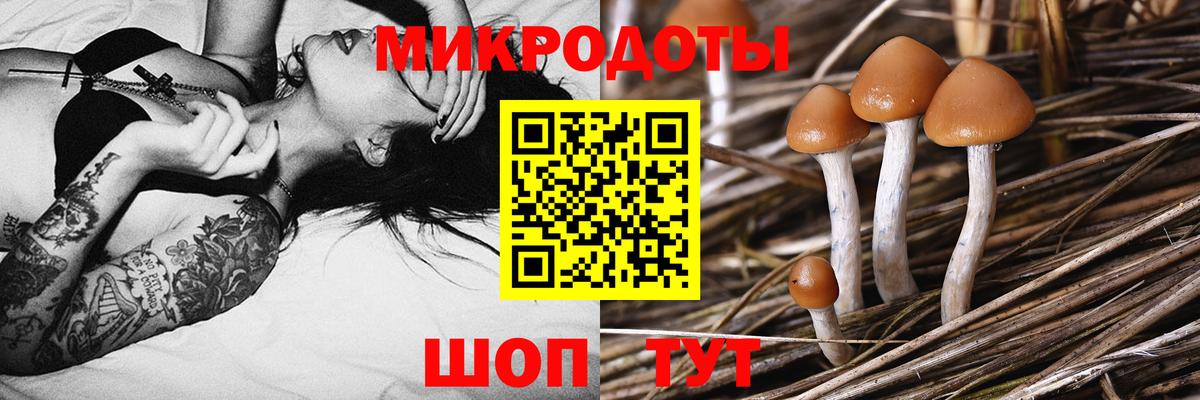 Галлюциногенные грибы MAGIC MUSHROOMS  Вход с VPN  Димитровград 
